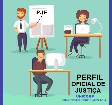 CAPACITAÇÃO PJE CRIMINAL 2.1 - PERFIL OFICIAL DE JUSTIÇA - TURMA 2